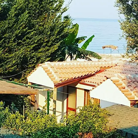 Vila Rei Holiday home